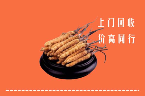 高价求购：端州区回收散虫草