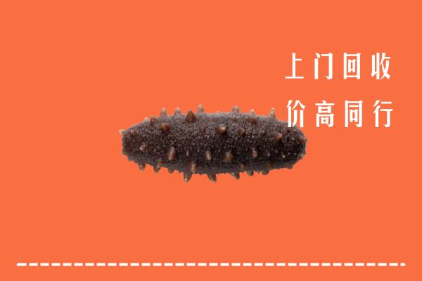 高价求购：端州区回收海参