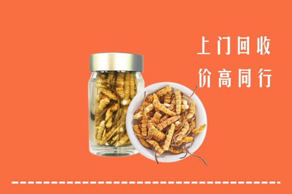 端州区回收冬虫夏草