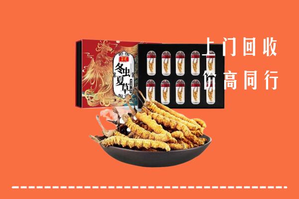 端州区回收虫草